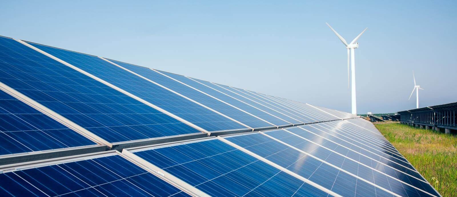 THE CLEAN ENERGY ECOSYSTEM