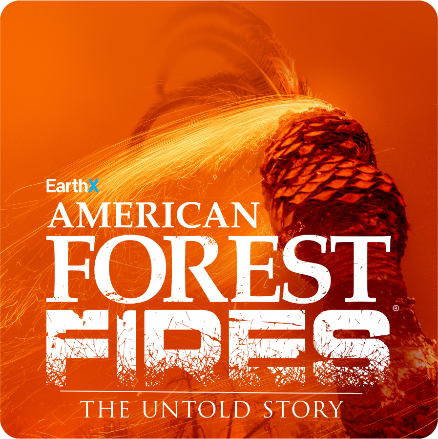 American Forest Fires