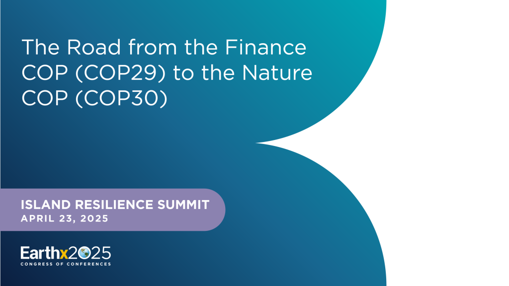 The Road from the Finance COP (COP29) to the Nature COP (COP30)