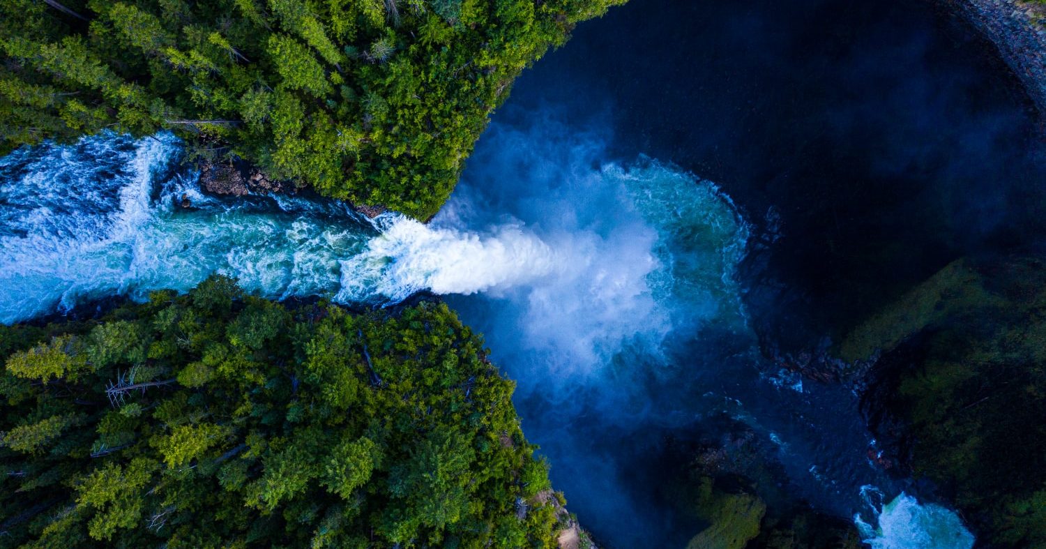 Beyond Net Zero: The Time Has Come to Restore the Climate