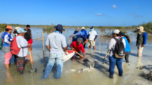 The Ocean Foundation